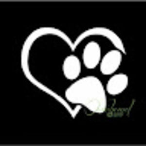 Meet your Posher, Dianna